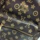 Maxim Lavish Leather Backpack for Girls/Women