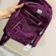 Vento Leisure Backpack