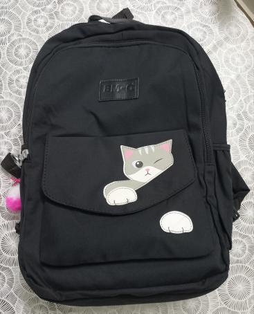 https://mines.pk/product/catsy-backpack-for-girls-women/